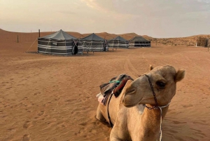 Luksusowe nocne safari na pustyni w Salalah