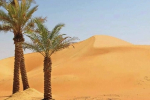 Luxury Overnight Desert Safari in Salalah