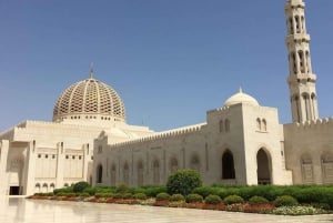 Luxury private muscat city tour
