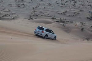 Mágico Safari por el Desierto en Crucero por Tierra en el Barrio Vacío