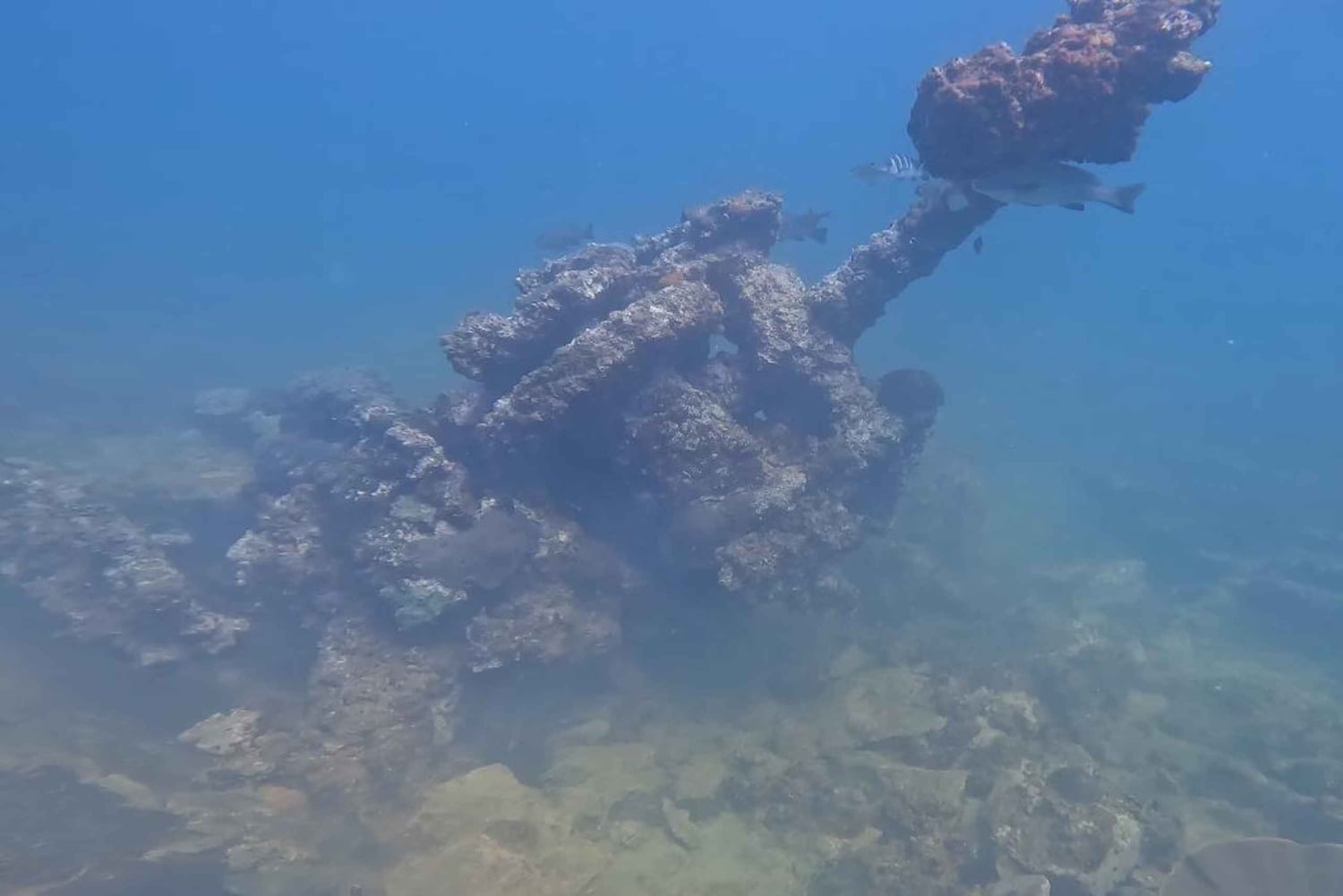 Mirbat: Snorkeling Adventure with Kheva Wreck