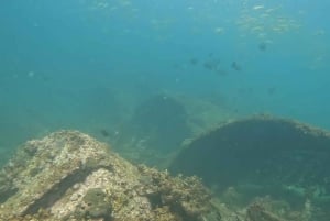 Mirbat: Snorkeling Adventure with Kheva Wreck