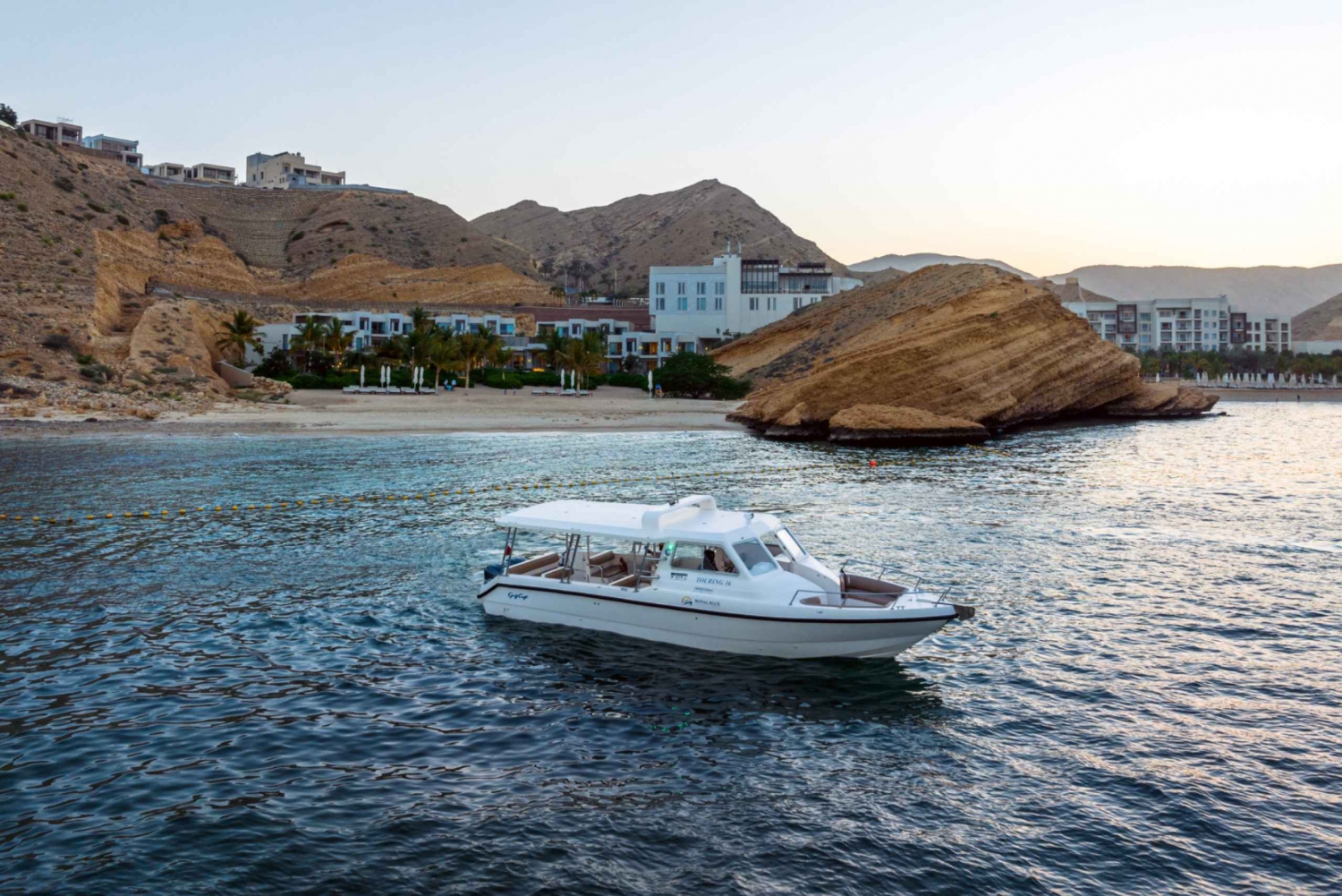 Muscat: 2-Hour Dolphin Watching Experience