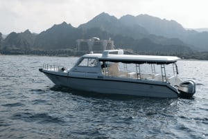 Muscat: 2 uur dolfijnen kijken