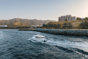 Muscat: 2 uur dolfijnen kijken