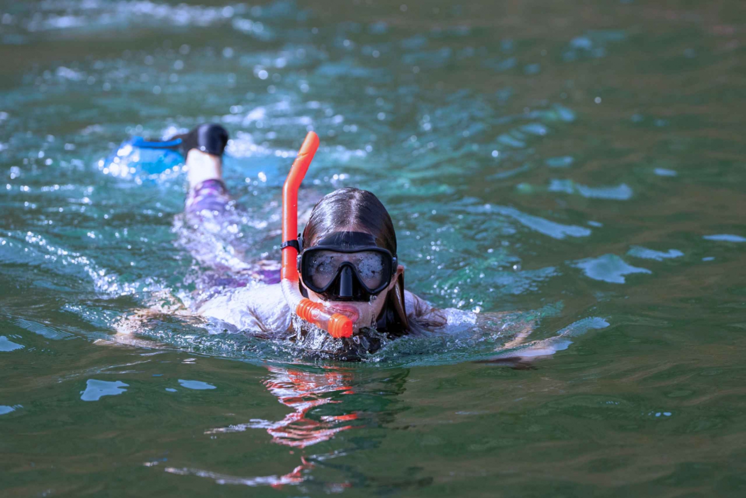 Mascate: excursão de 3 horas para observação de golfinhos e mergulho com snorkel