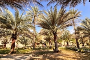 Muscat: 4x4-äventyr genom Jebel Akhdar och Nizwa