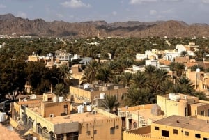 Muscat: 4x4-äventyr genom Jebel Akhdar och Nizwa