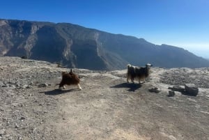 Muscat: Trasferimento 4x4 da/per Wahiba Sands, Jabal Shams o ...