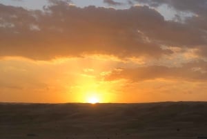 Muscat: Trasferimento 4x4 da/per Wahiba Sands, Jabal Shams o ...