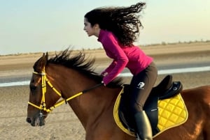 Paseos a caballo Mascate | Paseos a caballo en la playa