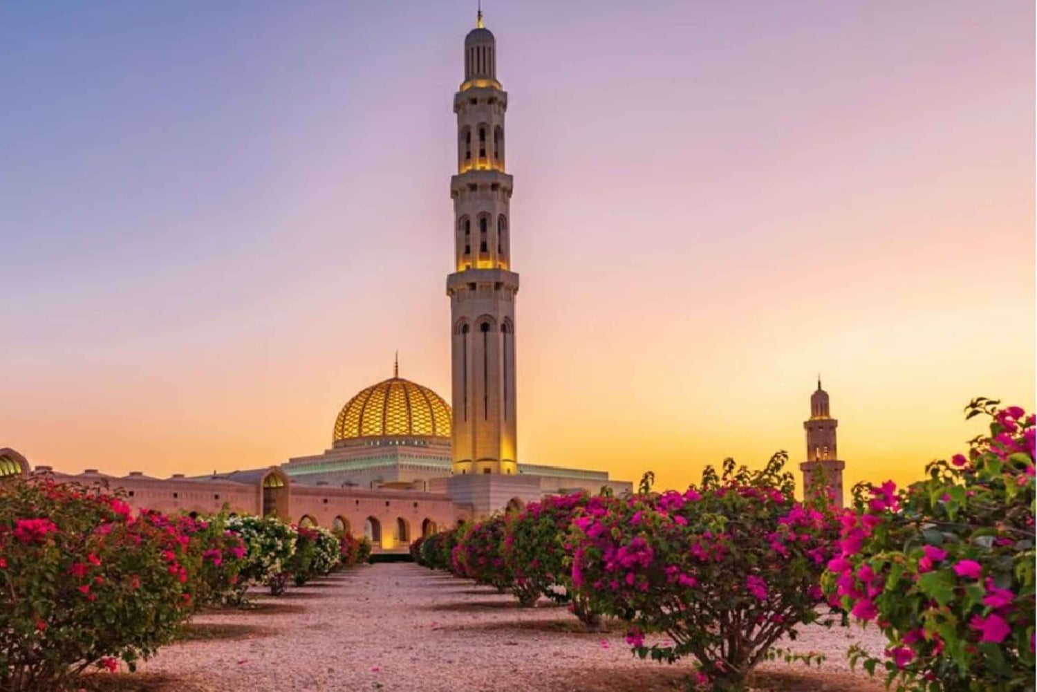 مسقط: جولة مذهلة في مدينة مسقط لمدة يوم كامل مع مرشد عماني