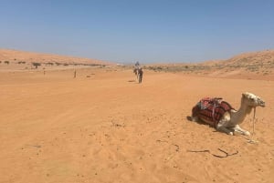 Muscat: Bidiya Desert Sunset Kameltur med transfer