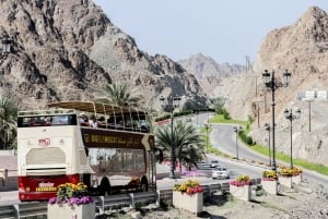 Muscat: Stor bus Hop-On Hop-Off sightseeingtur