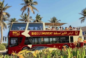 Muscat: Big Bus Hop-On Hop-Off Sightseeing Tour