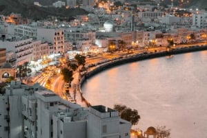 Muscat by Night Sightseeing Tour