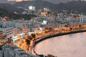 Sightseeingtur i Muscat by Night
