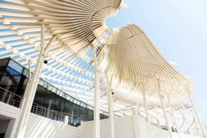 マスカット市内ツアー - 半日シェアツアー