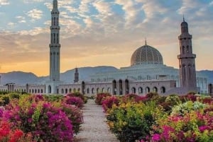 Muscat: Full Day City Tour with Hotel Pickup and Drop-Off