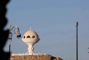 tour de la ciudad de moscatel con recogida