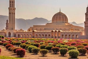 visite de la ville de muscat avec prise en charge