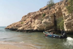 Muscat: tour di un giorno con pranzo omanita, servizio di prelievo in hotel e biglietto aereo