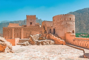 Muscat: tour di un giorno con pranzo omanita, servizio di prelievo in hotel e biglietto aereo