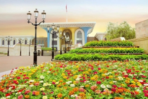 Muscat: tour di un giorno con pranzo omanita, servizio di prelievo in hotel e biglietto aereo