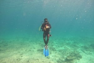 Muscat: Daymaniat Islands Scuba Diving for Beginners