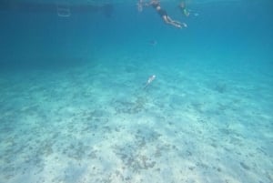 Mascate: Excursión de snorkel por las islas Daymaniat con refrescos