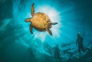 Mascate: Excursión de snorkel por las islas Daymaniat con refrescos