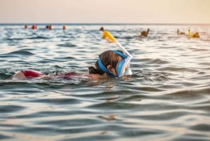 Mascate: Excursão de mergulho com snorkel nas Ilhas Daymaniat com bebidas