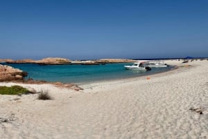 Muscat: Snorklingstur med förfriskningar på Daymaniatöarna
