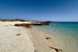 Muscat: Tour di snorkeling delle isole Daymaniat con rinfresco