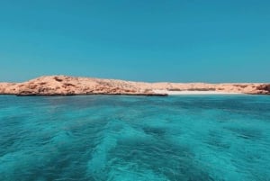 Muscat: Snorkeltur på Dimaniat-øerne