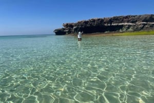 Muscat: Snorkletur til Dimaniat-øyene