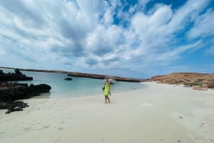 Muscat: Snorkletur til Dimaniat-øyene