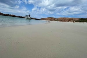Mascate: Excursión de snorkel a las Islas Dimaniat