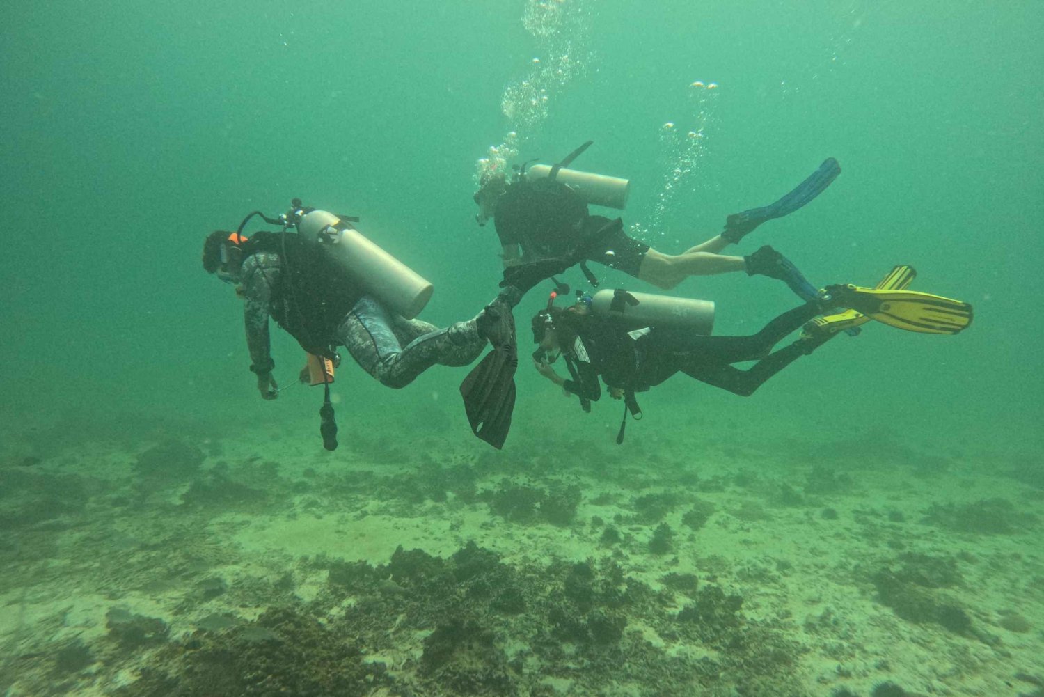 Mascate: Las islas Daymaniat prueban el submarinismo