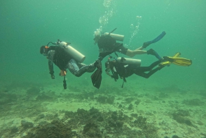 Muscat: Spróbuj nurkowania na wyspach Daymaniat