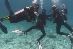 Mascate: Las islas Daymaniat prueban el submarinismo