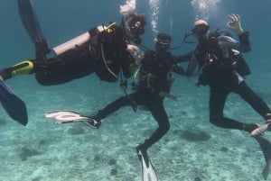 Muscat : Les îles Daymaniat s'essaient à la plongée sous-marine