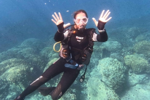Muscat: Daymaniatöarna provar på dykning