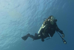 Muscat: Spróbuj nurkowania na wyspach Daymaniat