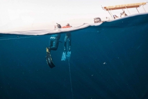 Muscat: Daymaniat Islands Try Scuba Diving