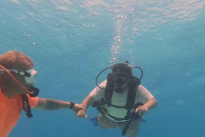 مسقط: جزر الديمانيات تجربة الغوص