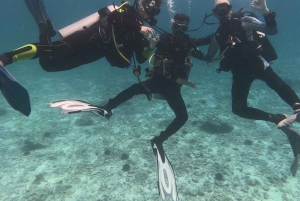 مسقط: جزر الديمانيات تجربة الغوص