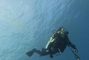 مسقط: جزر الديمانيات تجربة الغوص