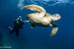 Mascate: Buceo en la Isla Daymaniyat 2 lugares + Almuerzo barbacoa