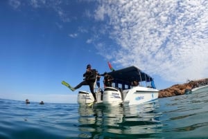 Mascate: Buceo en la Isla Daymaniyat 2 lugares + Almuerzo barbacoa